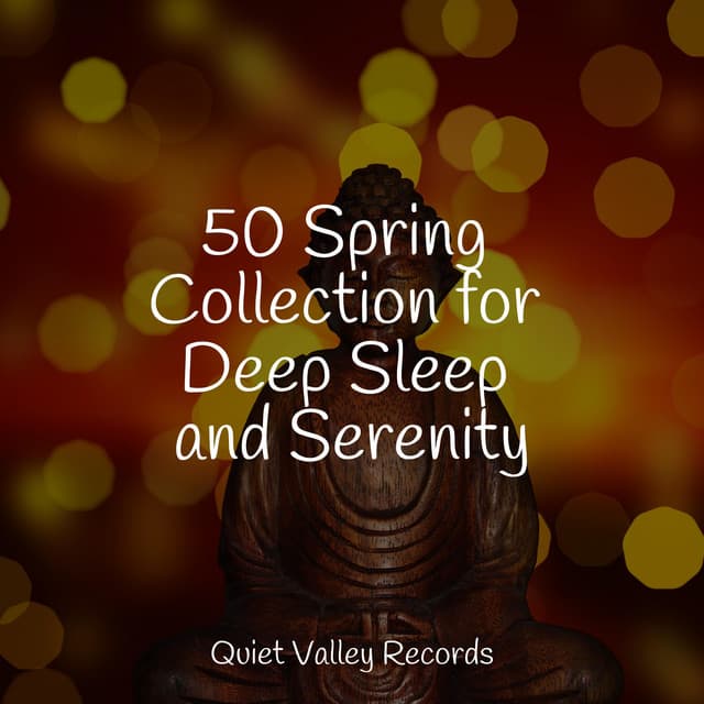 50 Spring Collection for Deep Sleep and Serenity - Especialistas de Musica para Dormir