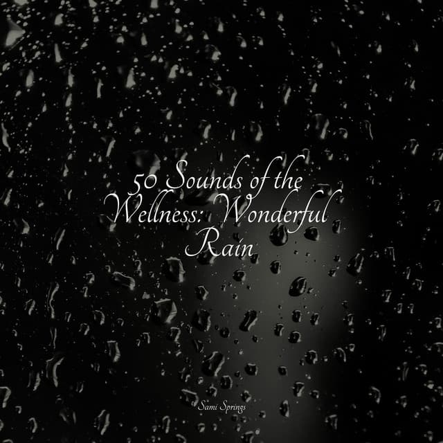 50 Sounds of the Wellness: Wonderful Rain - Nature Recordings