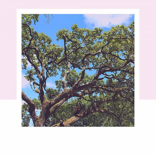 Distinguished Ambiance for Smooth Downtime - Peaceful Autumn Instrumental Jazz