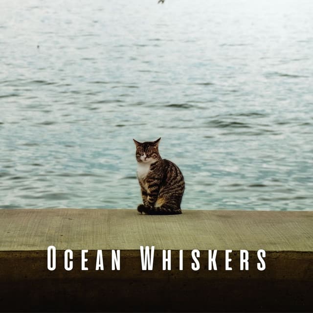 Ocean Whiskers: Tranquil Chill Sounds for Zen-Like Cats - Waveseekers