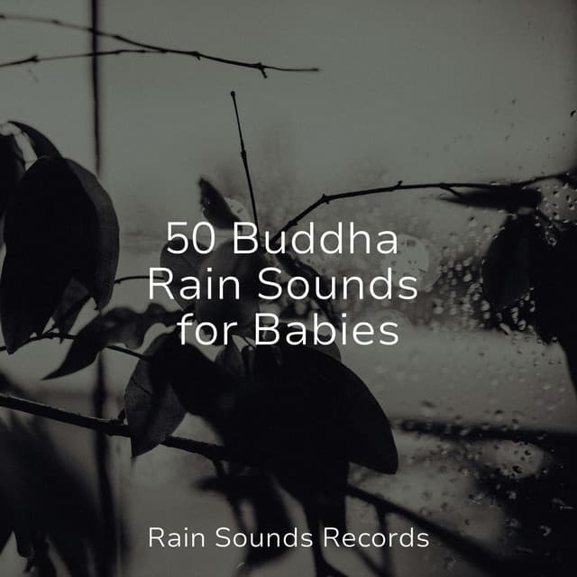50 Buddha Rain Sounds for Babies - Sounds of Nature Relaxation