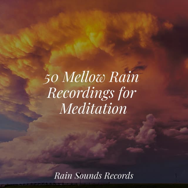 50 Mellow Rain Recordings for Meditation - Nature Sound Collection