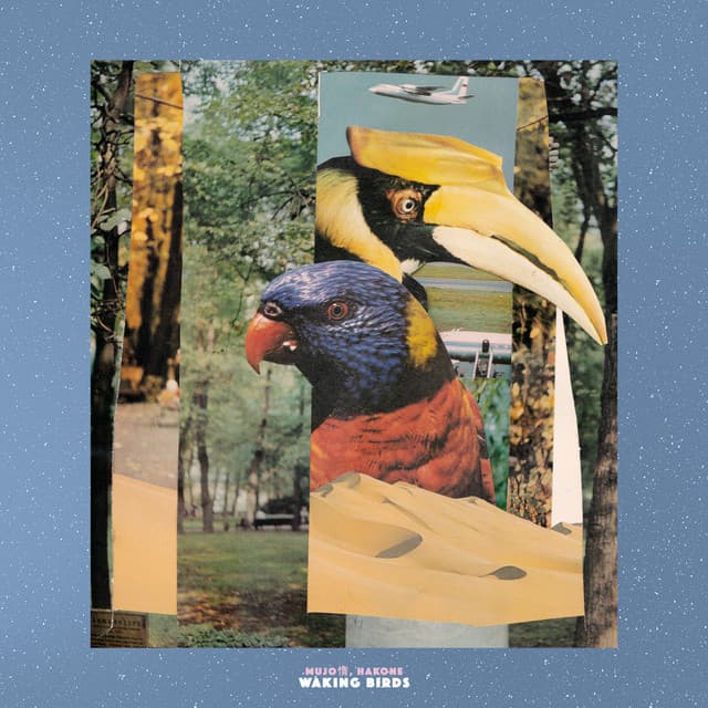 Waking Birds - Mujo