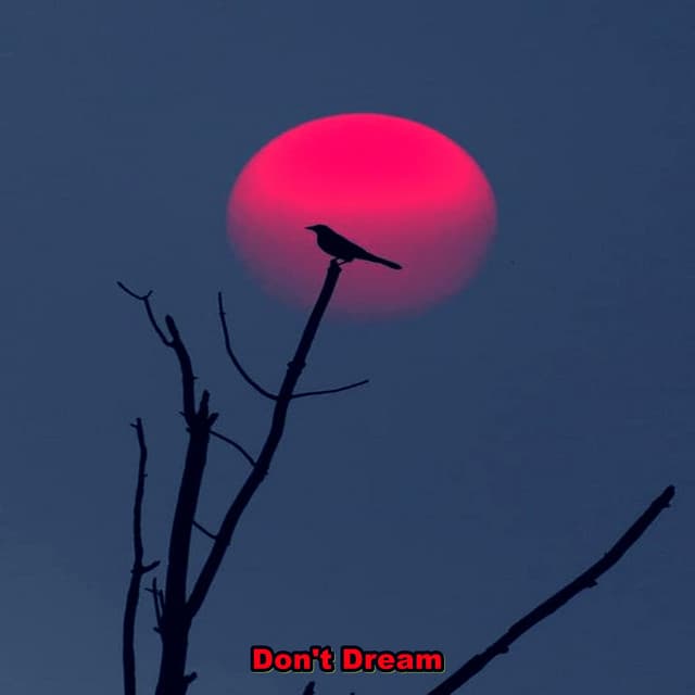 Don't Dream - Triste chico LoFi