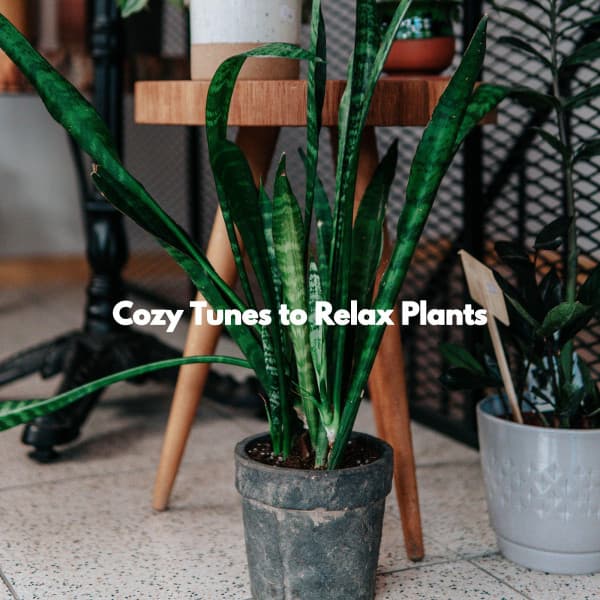 Cozy Tunes to Relax Plants - Instrumental Soft Jazz