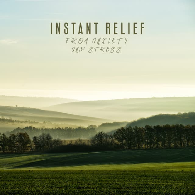 Instant Relief from Anxiety and Stress - Relaxed Mind Music Universe