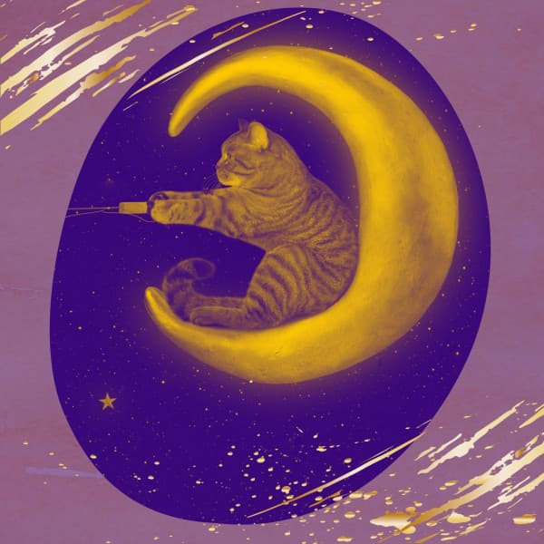 Quartet Jazz - Bgm for Comfortable with Cats - Music for Resting Cats