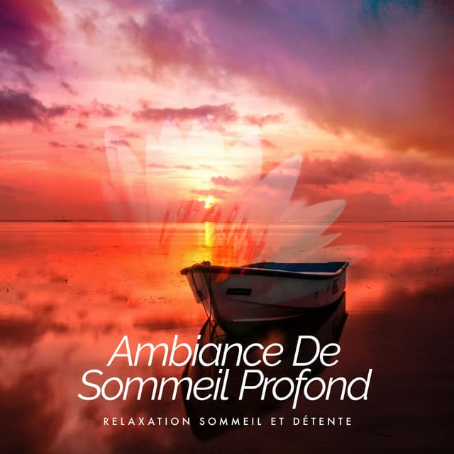 Ambiance De Sommeil Profond - Relaxation Sommeil et Détente