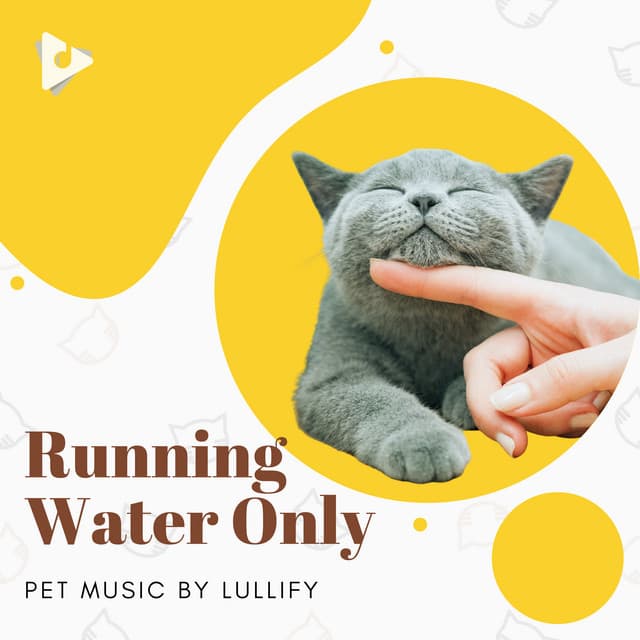 Running Water Only - Pet Music by Lullify