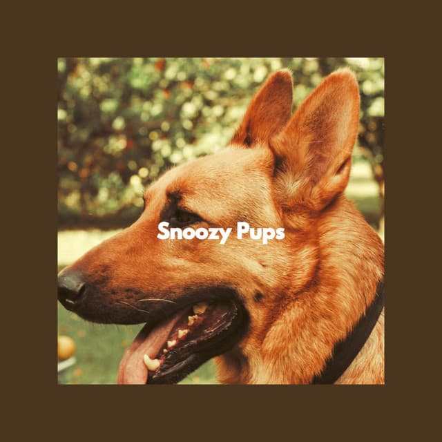Snoozy Pups - Dog Sleeping Soundtracks Deluxe