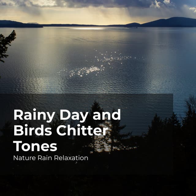 Rainy Day and Birds Chitter Tones - Nature Rain Relaxation