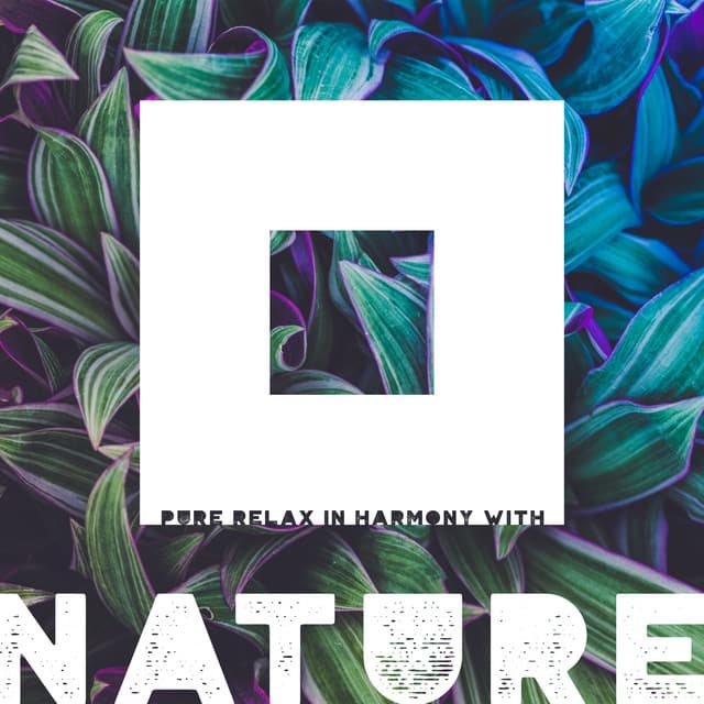 Pure Relax in Harmony with Nature - Natural New Age Maker!