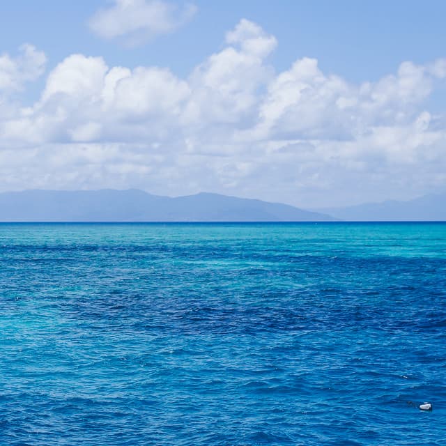 1 Coastal Night: Peace Waters - Coastal Sounds