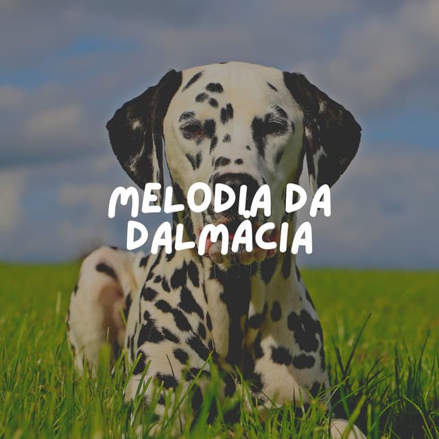 Melodia da Dalmácia - Música de Cachorro Calmante