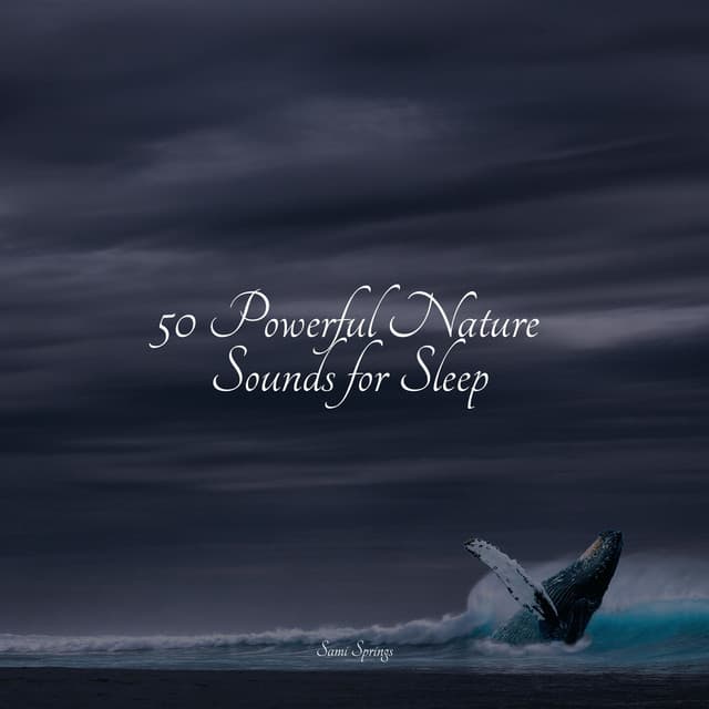 50 Powerful Nature Sounds for Sleep - Soothing Music Academy