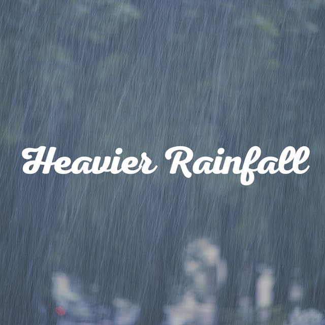 Heavier Rainfall - 24H Rain Sounds