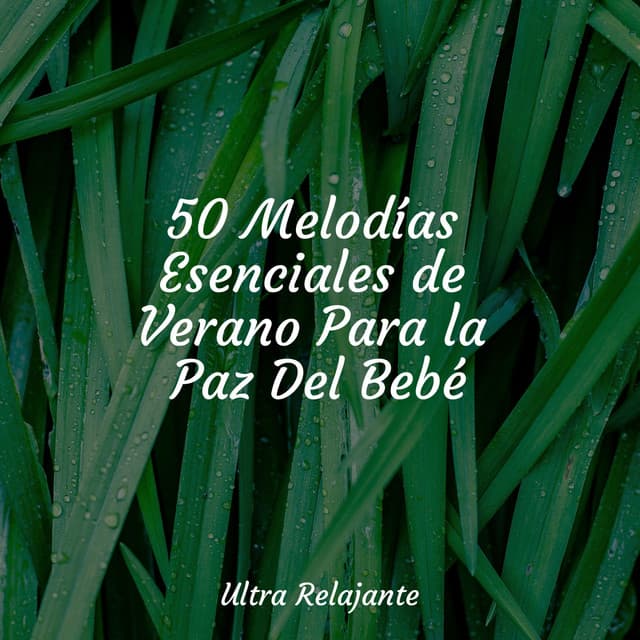 50 Melodías Esenciales de Verano Para la Paz Del Bebé - Música ambiental relajante