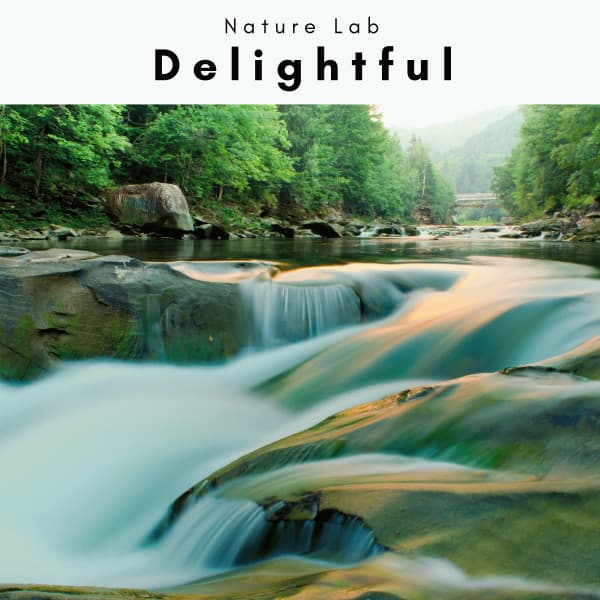 4 REM: Delightful - Nature Lab