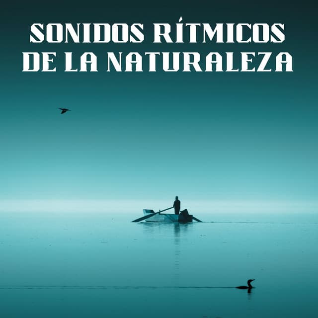 Sonidos Rítmicos De La Naturaleza - Acústica de la Naturaleza