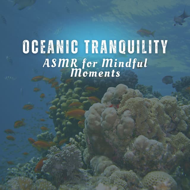 Oceanic Tranquility: ASMR for Mindful Moments - Ocean Of White Noise