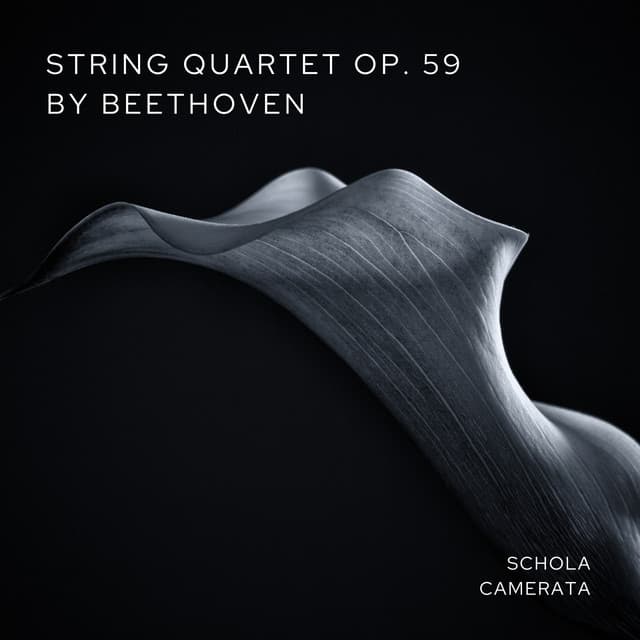 String Quartet Op.59 By Beethoven - Ludwig van Beethoven