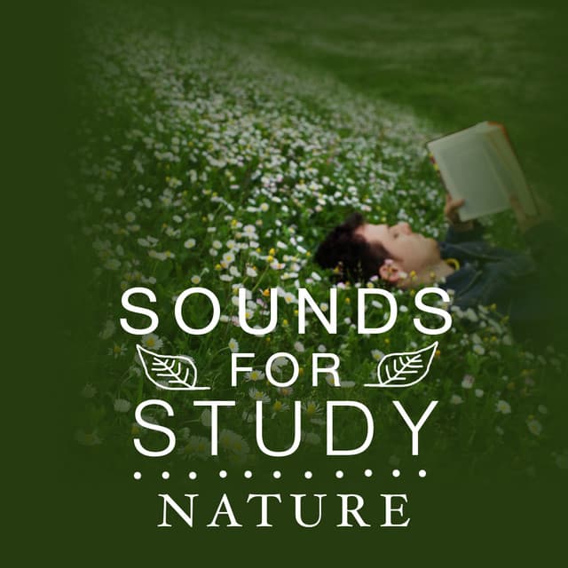 Sounds for Study: Nature - Sounds Of Nature