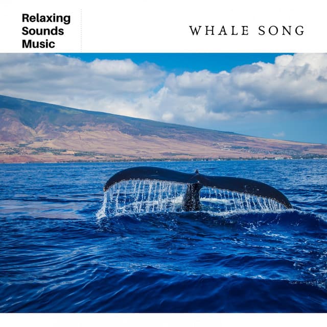 Whale Song for Sleep - Ocean Waves Radiance