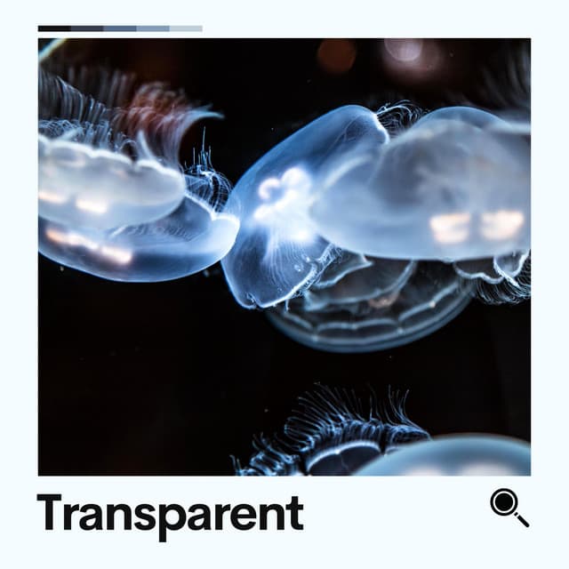 Transparent - Ambient Sample Library