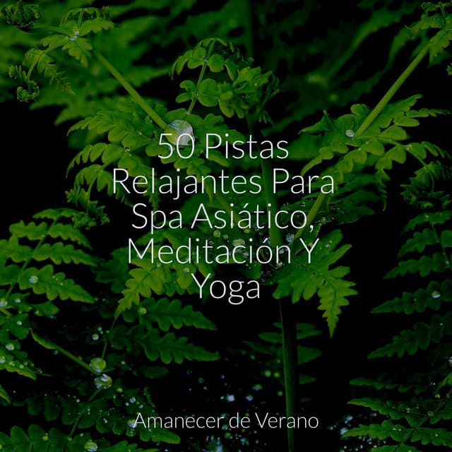 50 Pistas Relajantes Para Spa Asiático, Meditación Y Yoga - Meditation Spa