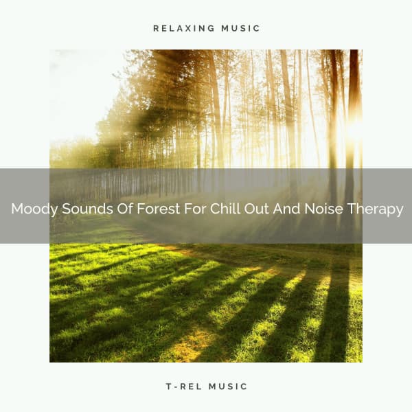 Moody Sounds Of Forest For Chill Out And Noise Therapy - Ambient Nature project