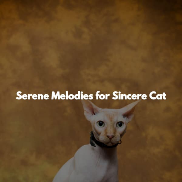 Serene Melodies for Sincere Cat - Smooth Jazz