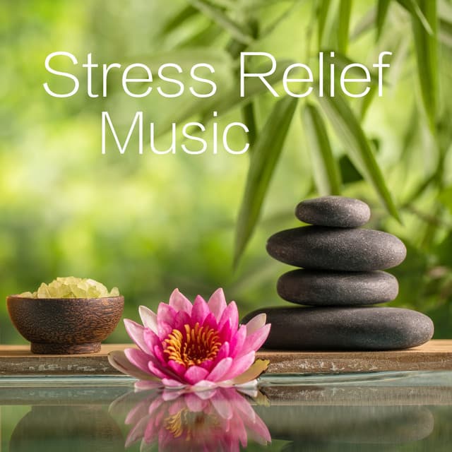 Stress Relief Music - Relaxation Meditation and Spa