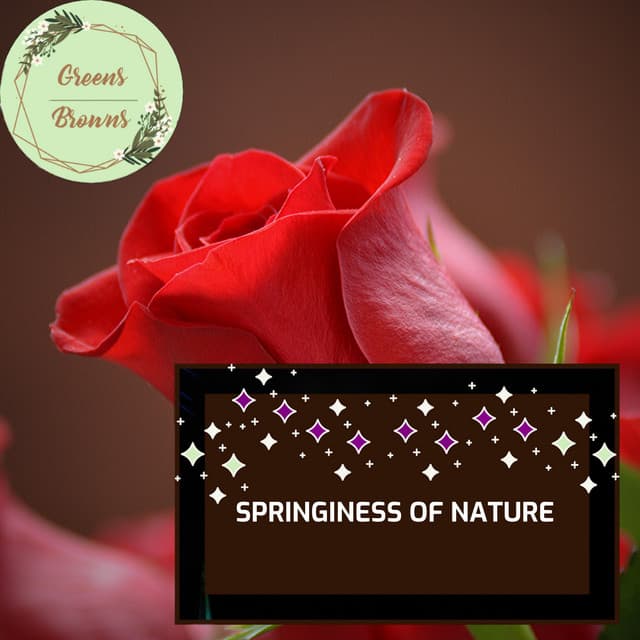Springiness of Nature - Calm Music