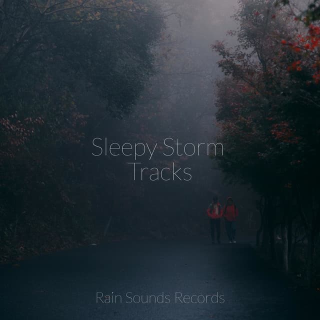 Sleepy Storm Tracks - Relaxing Music