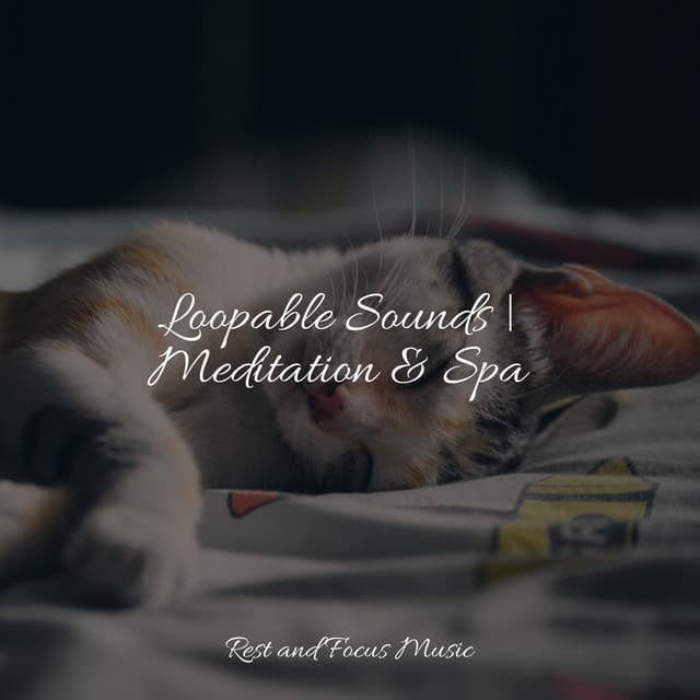 Loopable Sounds | Meditation & Spa - Meditation Relaxation Club