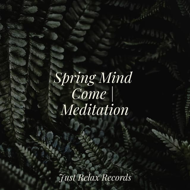Spring Mind Come | Meditation - Deep Sleep Meditation