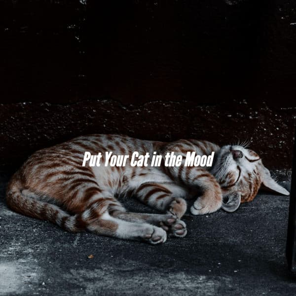 Put Your Cat in the Mood - Easy Listening Instrumental Music
