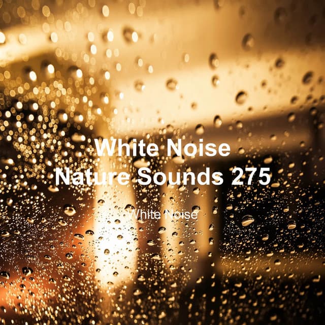White Noise 275 - White Noise