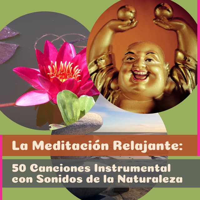 La Meditación Relajante: 50 Canciones Instrumental con Sonidos de la Naturaleza - Música de Armonia, de la Flauta, Guitarra, En Compañía de Piano, Musica Reiki Relajación, Yoga Clase, Zen Espiritualidad Ambiente y Dormir Descansar - Academia de Música para el Alma