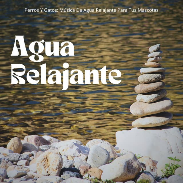Perros Y Gatos: Música De Agua Relajante Para Tus Mascotas - Banco de sonidos de agua