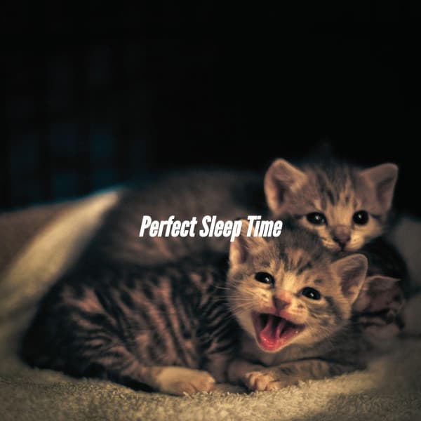 Perfect Sleep Time - Jazz For Sleeping