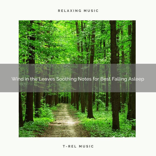2021 New: Wind in the Leaves Soothing Notes for Best Falling Asleep - Sleep Tribe