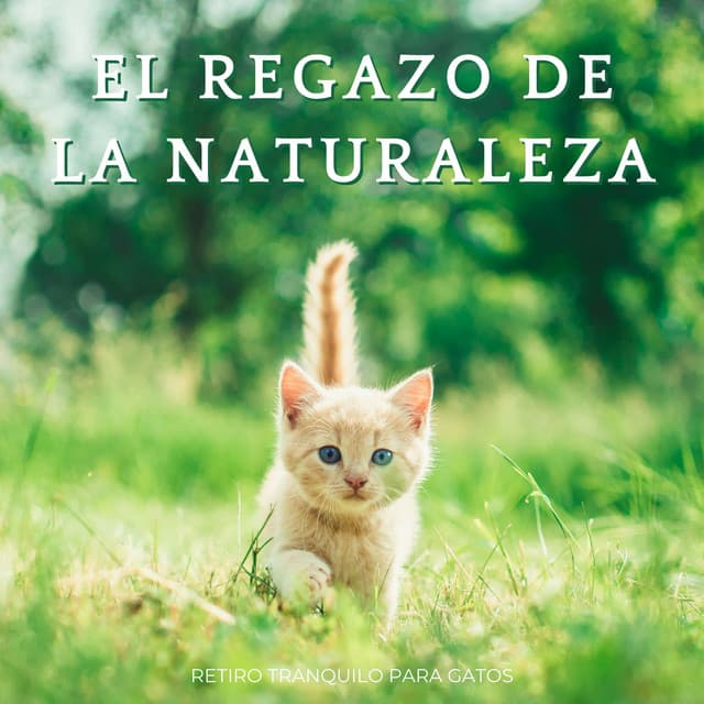 El Regazo De La Naturaleza: Retiro Tranquilo Para Gatos - Ruidos de la Naturaleza