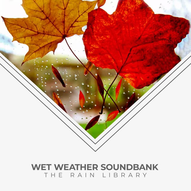 Wet Weather Soundbank - The Rain Library