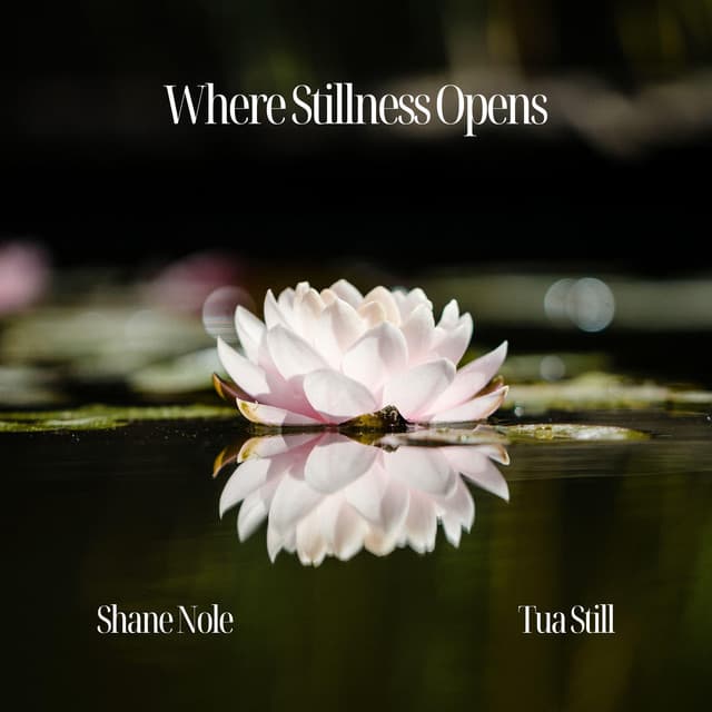 Where Stillness Opens - Shane Nole