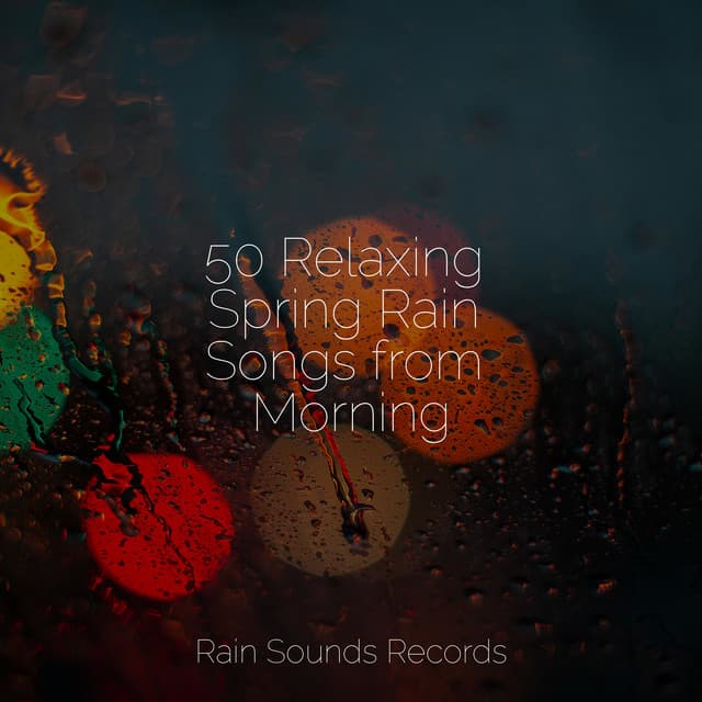50 Relaxing Spring Rain Songs from Morning - Yoga Sounds