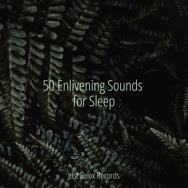 50 Enlivening Sounds for Sleep - Pro Sound Effects Library