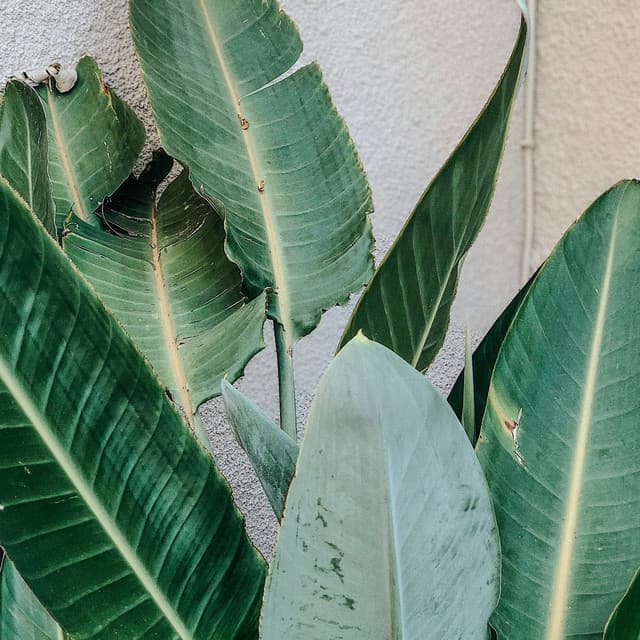 0 Hour Zen: Soothing Escape - Coastal Sounds