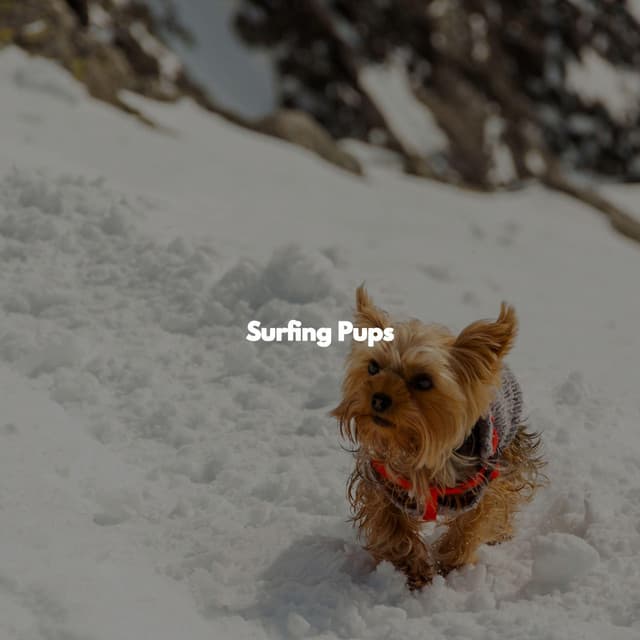 Surfing Pups - Cafe Music