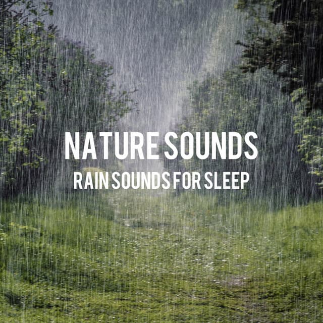 Rain Sounds for Sleep - Nature Sounds